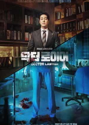 Streaming Doctor Lawyer Subtitle Indonesia