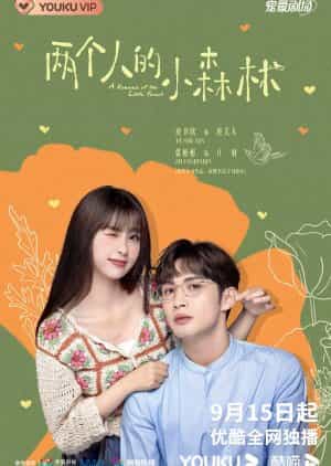 Dracin A Romance of The Little Forest Subtitle Indonesia